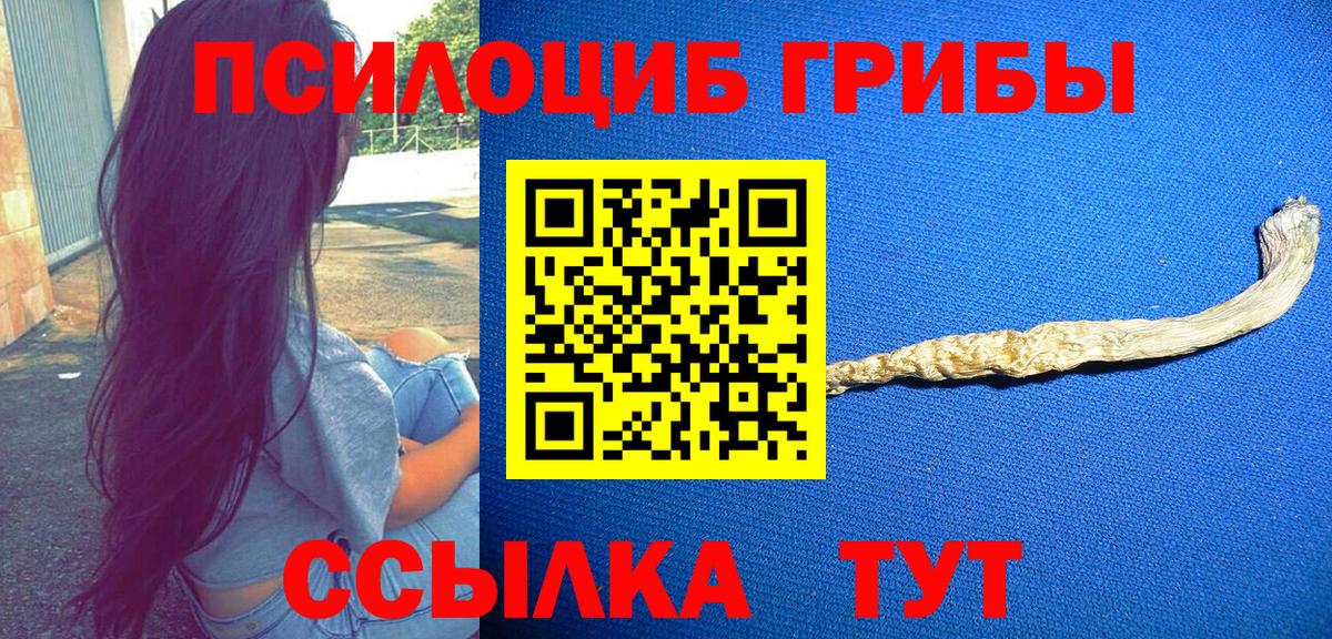 Ноябрьск  Псилоцибиновые грибы прущие грибы  Вход с VPN  Псилоцибиновые грибы ЛСД 